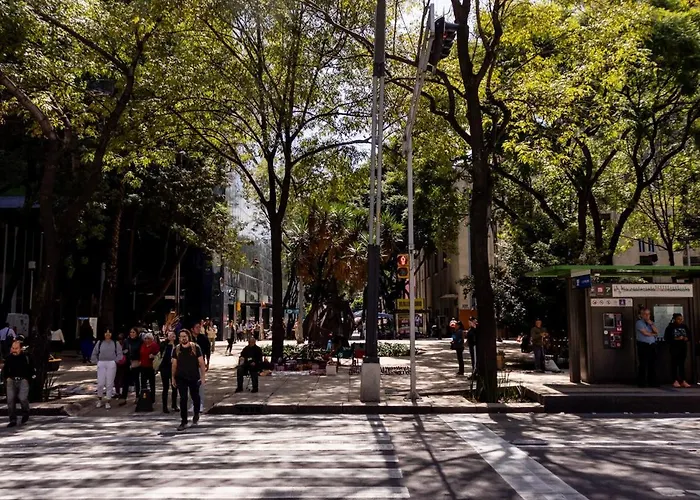 Amazing A Few Steps Reforma & Us Embassy Apartment